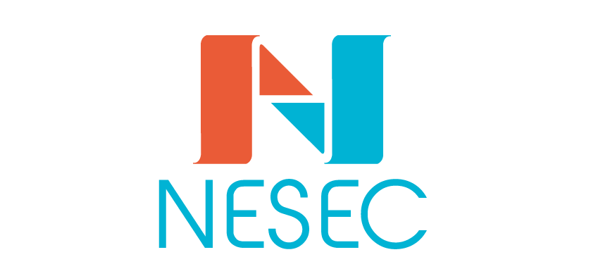 Imagen de NESEC- El Universo