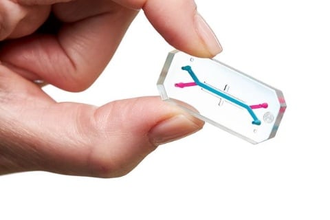 Miniórganos en un chip: el extraño hallazgo en la sangre de los astronautas que cambiará la medicina humana para siempre