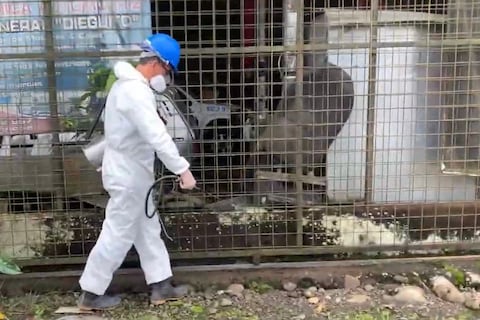 MSP intensifica brigadas y control vectorial en siete provincias con repunte de casos de dengue