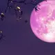 Luna Rosa o de Pascua se verá el 23 de abril
