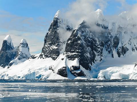 Restos de piel fosilizada de un pingüino de 43 millones de años se hallaron en la Antártida