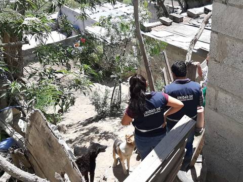 Perro agredido por una mujer con un cable luz fue rescatado en el norte de Quito