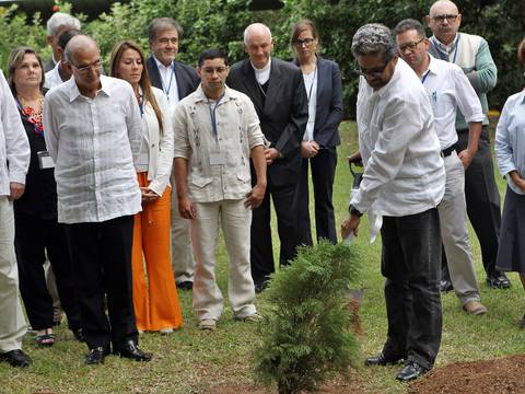 Negociadores del Gobierno colombiano y las FARC plantan un árbol por la paz