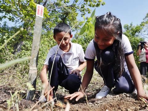 Estudiantes siembran 100 árboles nativos en área natural de Bellavista