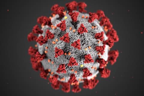 El poder de las vacunas contra el coronavirus explicada en una animación