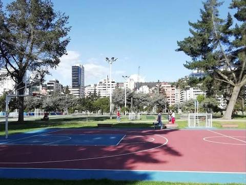 Antisociales robaron sillas de ruedas de personas con discapacidad que juegan básquet en el parque La Carolina, en Quito