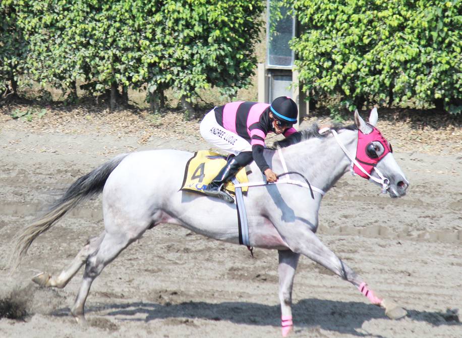 Los caballos Albina y My Way triunfan en la jornada hípica dominical |  Otros Deportes | Deportes | El Universo