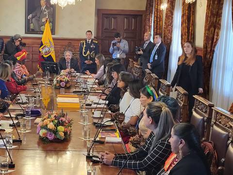 Registro Único de Violencia pasará a la Secretaría de Derechos Humanos: uno de los acuerdos en reunión de Guillermo Lasso con colectivos de mujeres