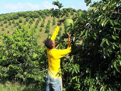 Proyecto busca replicar modelo chileno de prestación de servicios en el campo para el desarrollo de agronegocios sostenibles en Ecuador 