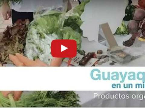 Guayaquil en 1 minuto: Productos orgánicos