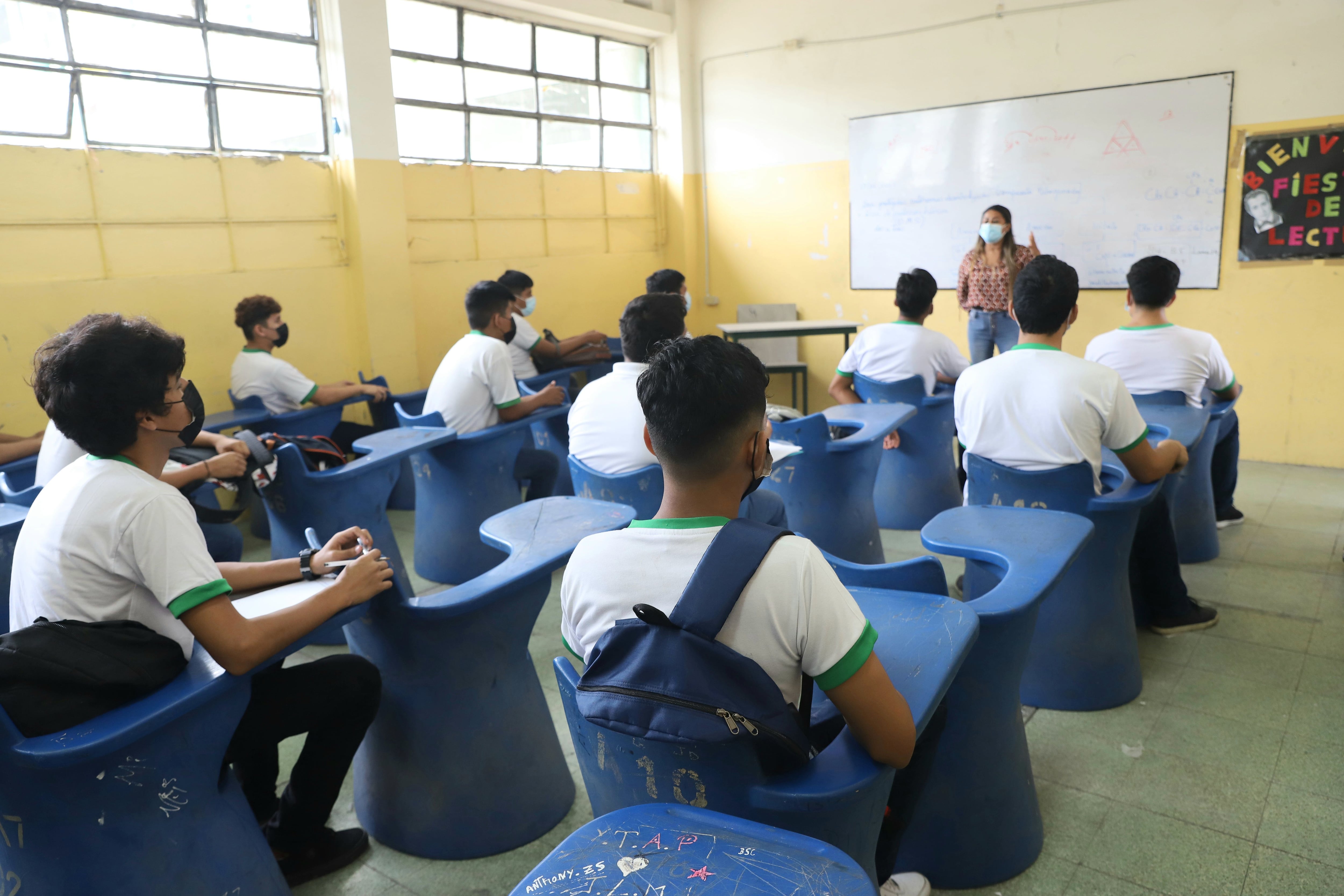  Educación presencial, virtual o desde casa: ¿Existe un solo  método de estudio efectivo? expertos opinan del tema