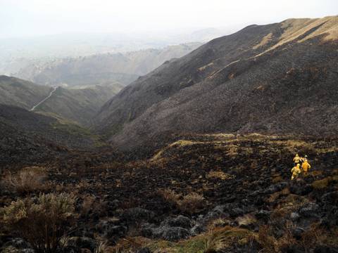 Alrededor de 280 hectáreas del Parque Nacional Llanganates fueron afectadas por incendio