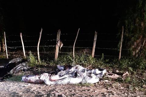 Hallan a cuatro jóvenes asesinados y embalados en la vía Palenque-Vinces