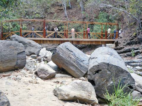 Bosque Petrificado de Puyango, un patrimonio excepcional de fósiles al sur del Ecuador