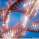 Científicos logran corregir la fibrosis quística en organoides mediante la edición genética
