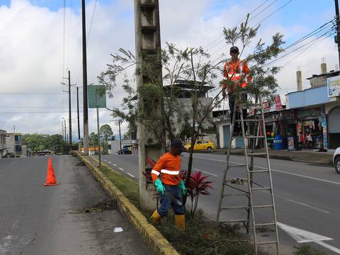 Procesados con régimen semiabierto limpiarán áreas públicas de Santo Domingo