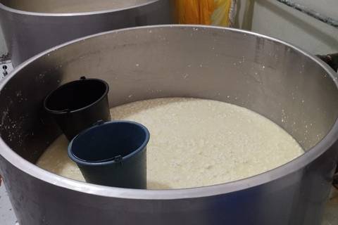 Arcsa clausura planta de lácteos por encontrar bacterias en quesos, en Cotopaxi
