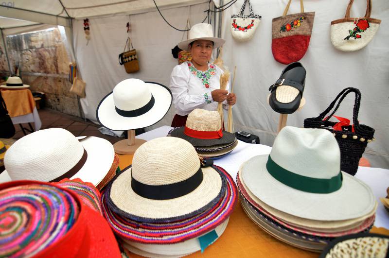 Abolladura Cuatro Entretenimiento Ideas para que mejore producción de sombrero de paja toquilla |  Intercultural | Noticias | El Universo