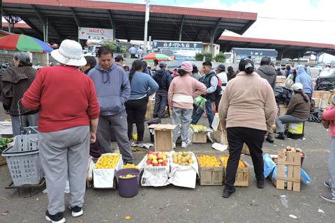‘No alcanza ni para los jornaleros’, dicen fruticultores de Ambato  por bajos precios que se pagan por cosechas