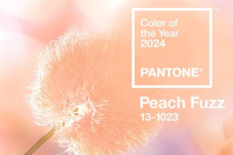 Este es el significado del tono ‘Peach Fuzz’, color Pantone para el 2024